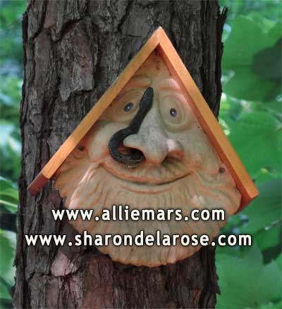 Snake in the Old Man Face Birdhouse